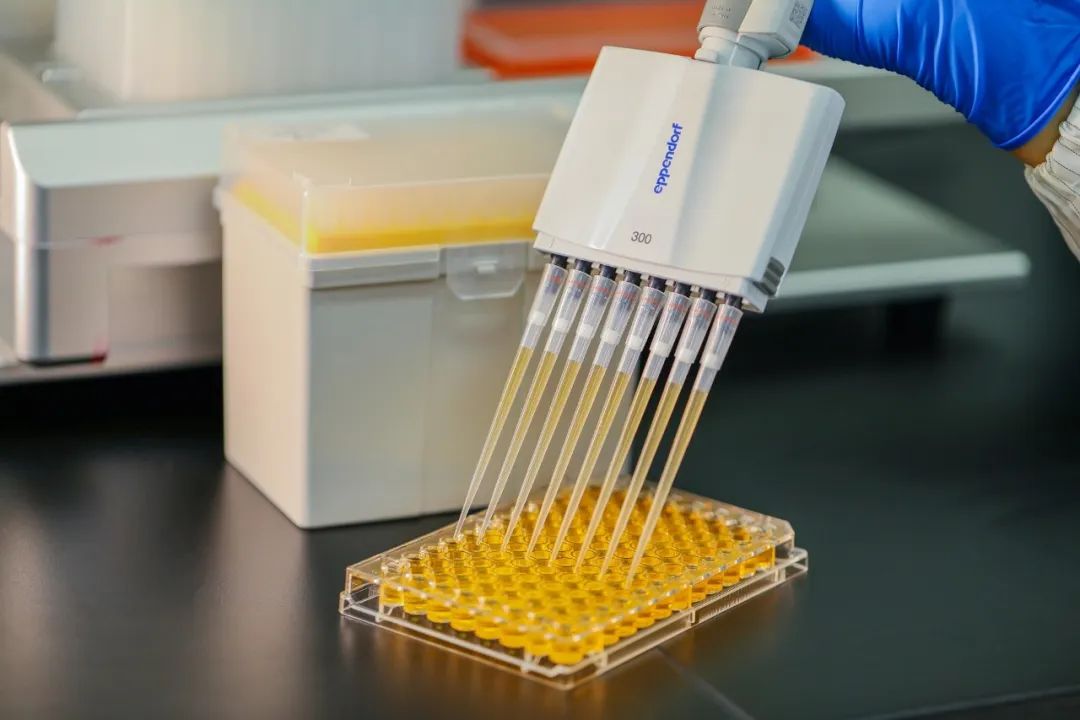 ለእርስዎ ትክክለኛ የ pipette ምክሮች ምንድን ናቸው?