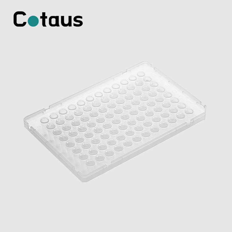 96 ደህና 0.1ml ድርብ ቀለም ሙሉ ቀሚስ PCR ሳህን